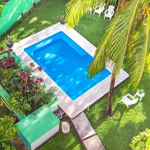 book here